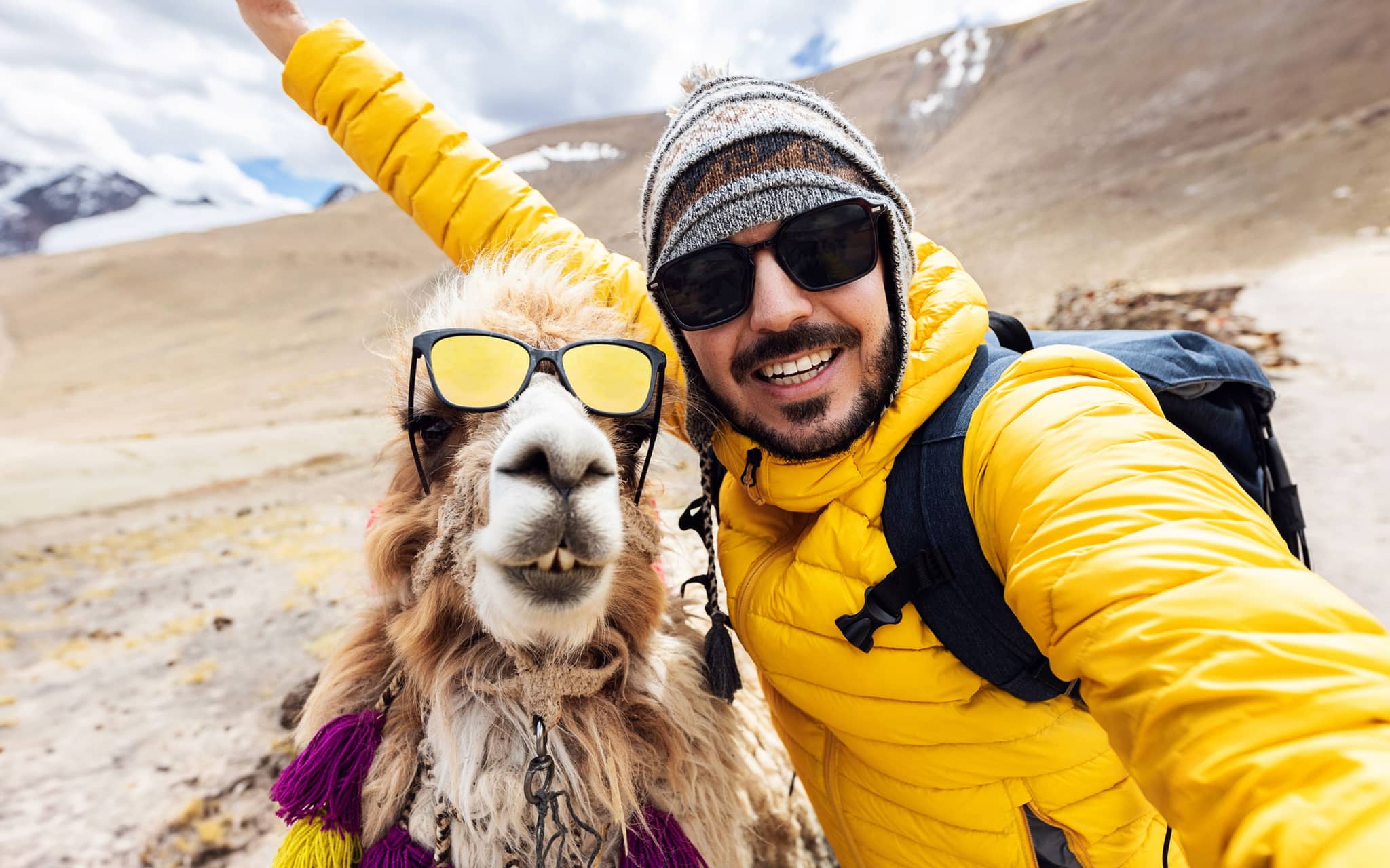 Mann mit Sonnenbrille und Lama mit Sonnenbrille machen ein Selfie.