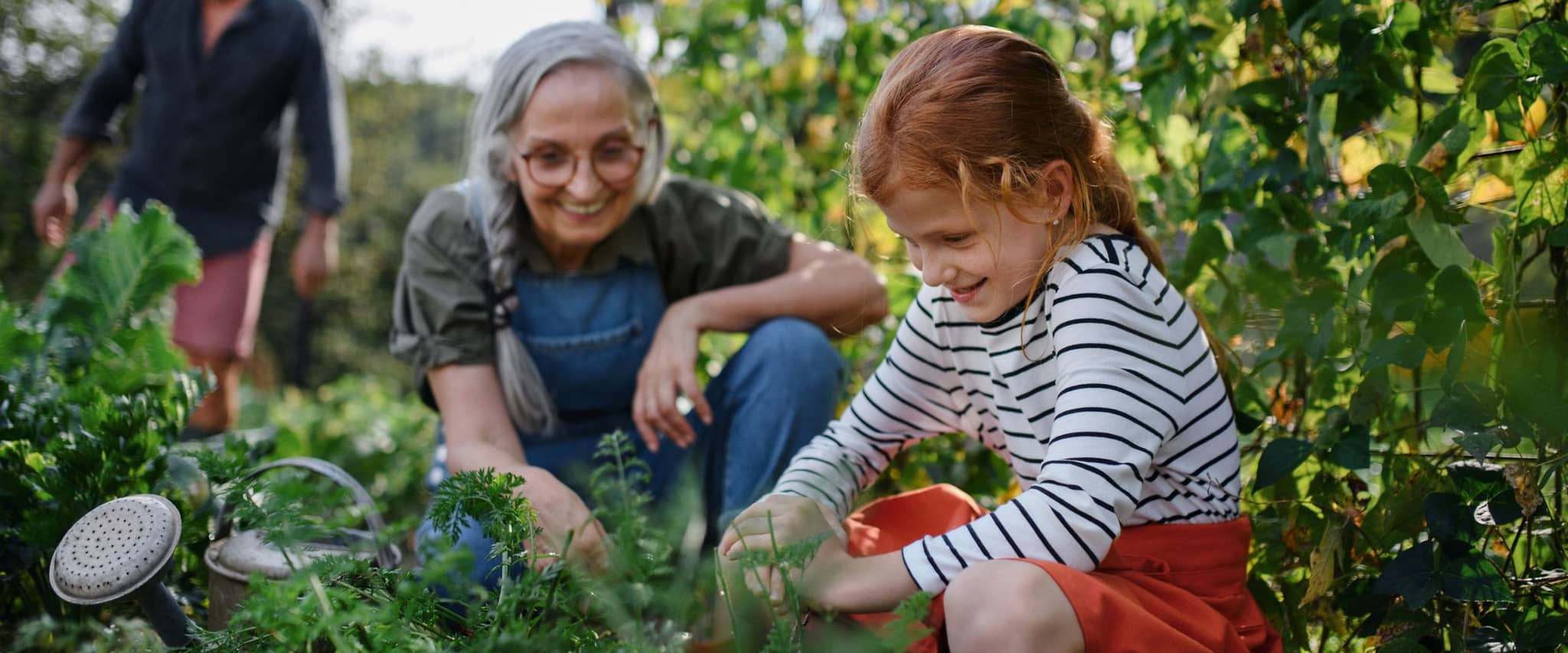GettyImages-Halfpoint Images1371098124