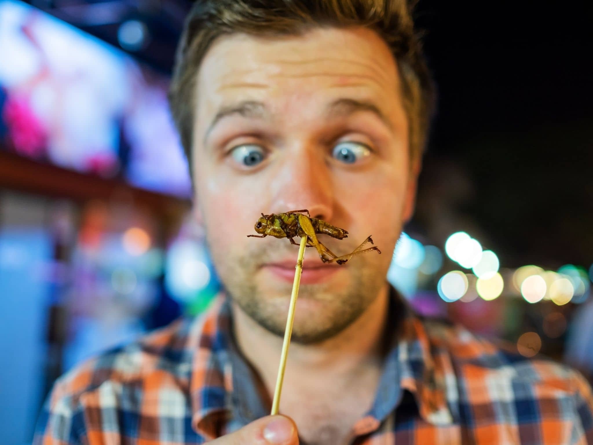 Insekten in Lebensmitteln: Mann betrachtet mit großen Augen Insekt auf einem Essstäbchen.