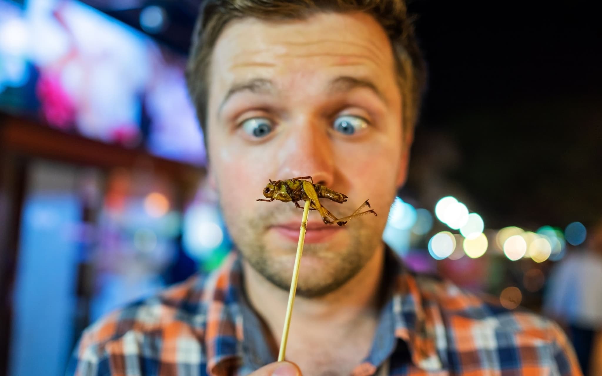 Insekten in Lebensmitteln: Mann betrachtet mit großen Augen Insekt auf einem Essstäbchen.