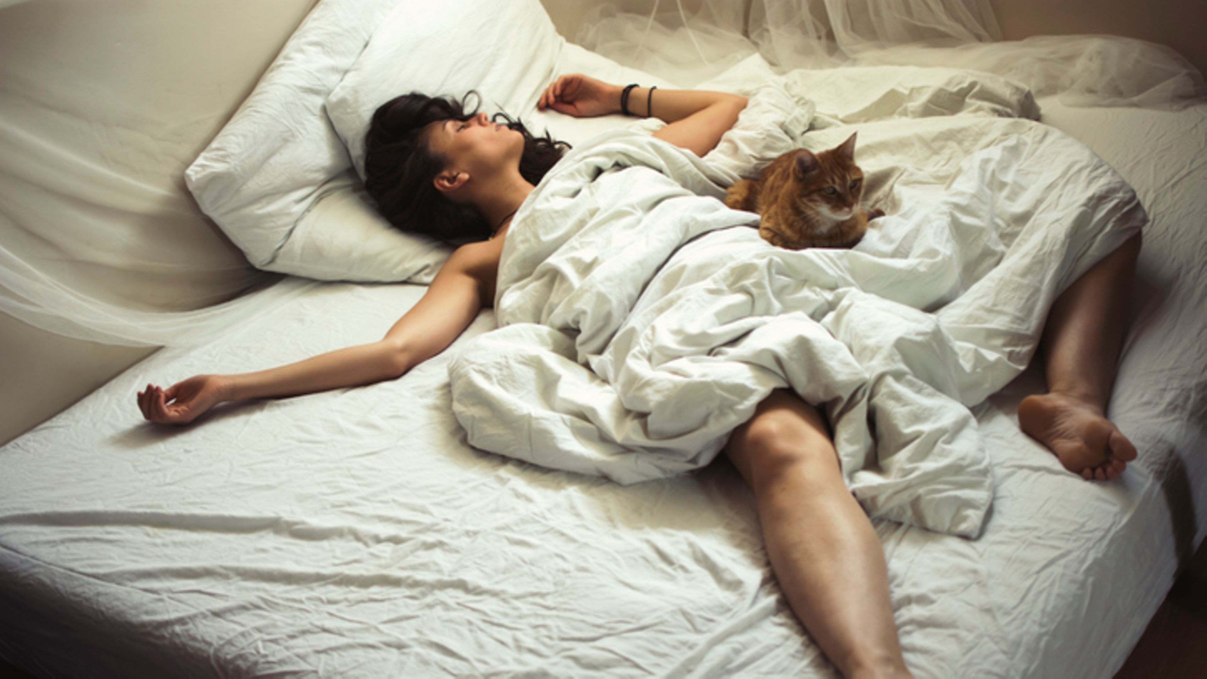 p-dsip vor dem zu bett gehen Schlafposition: Welche ist die beste?