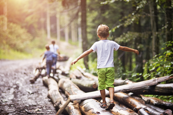 Eine Familie wandert durch den Wald, ein Junge balanciert auf einem Baumstamm